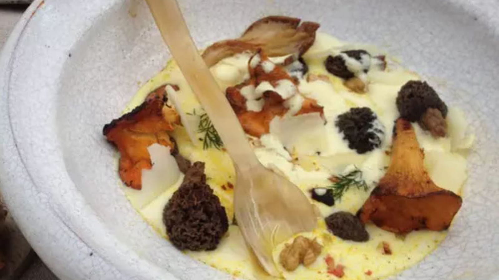 Velouté d’AOP Ossau-Iraty au vin jaune du Jura, poêlée de girolles et morilles