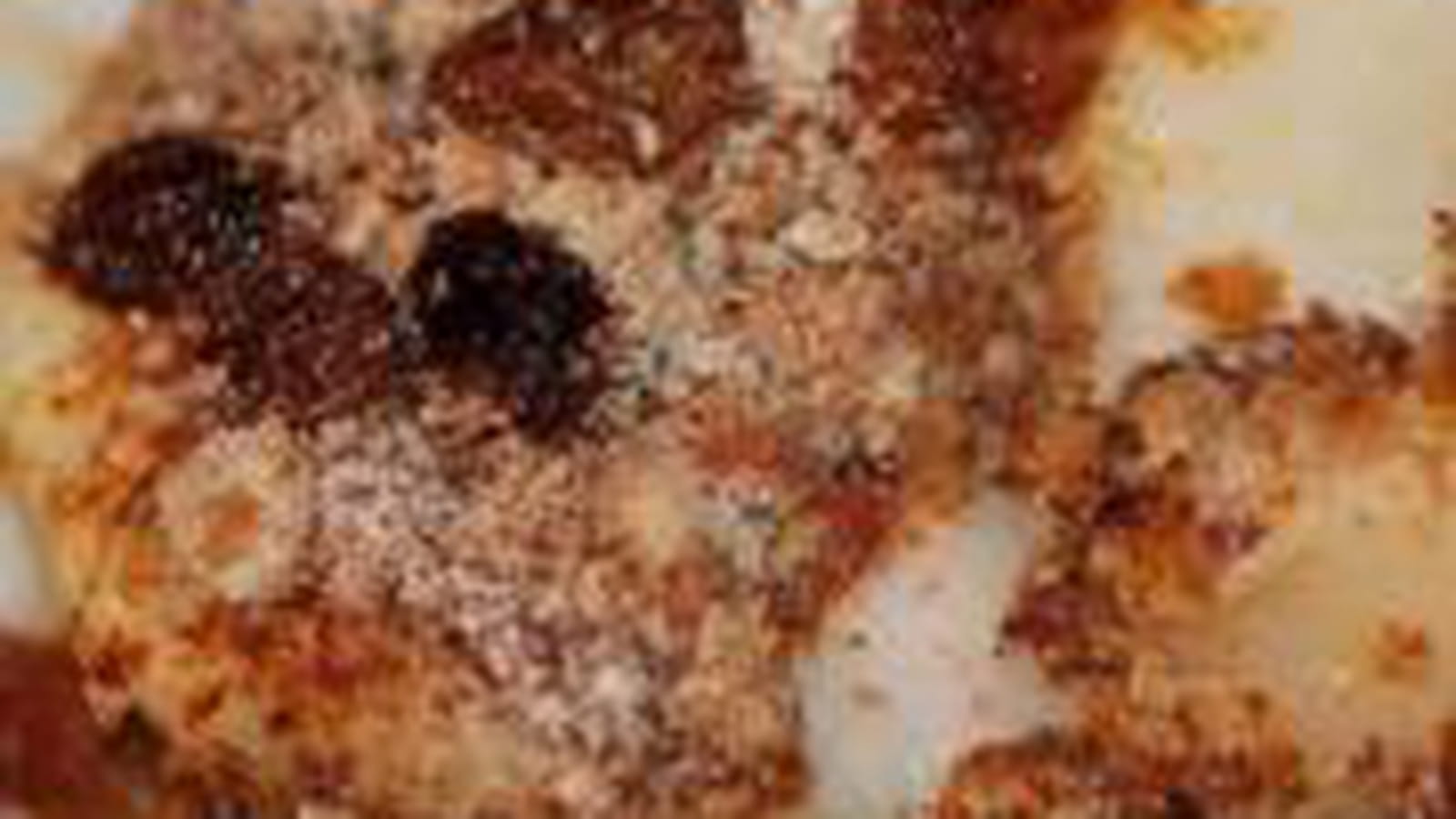 Poire en crumble
