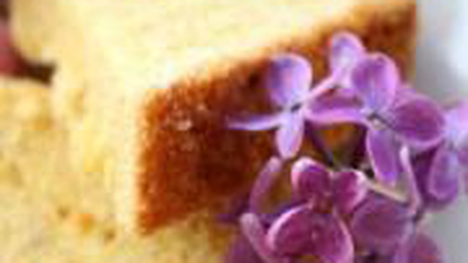 Gâteau de sable polonais