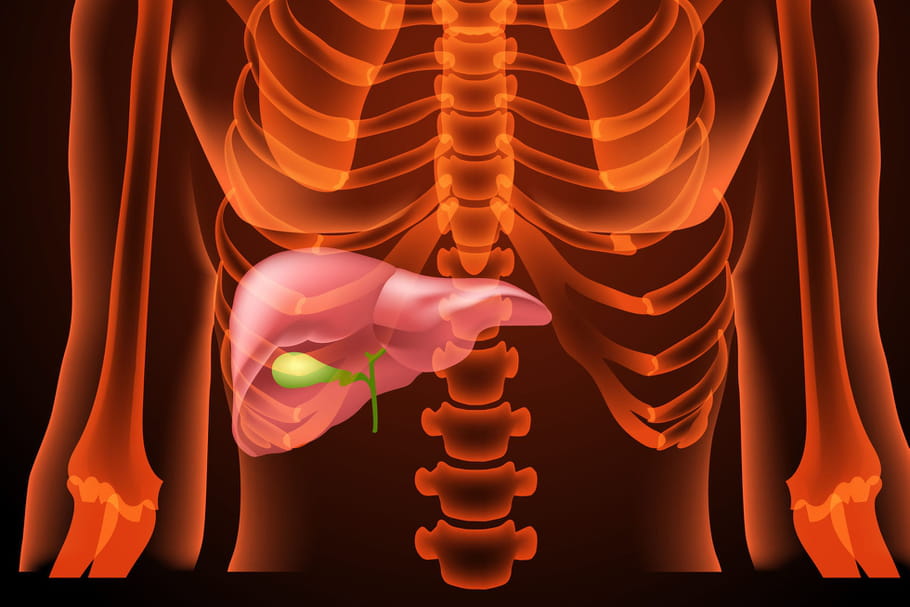 Bile : rôle, couleur, maladies, examens