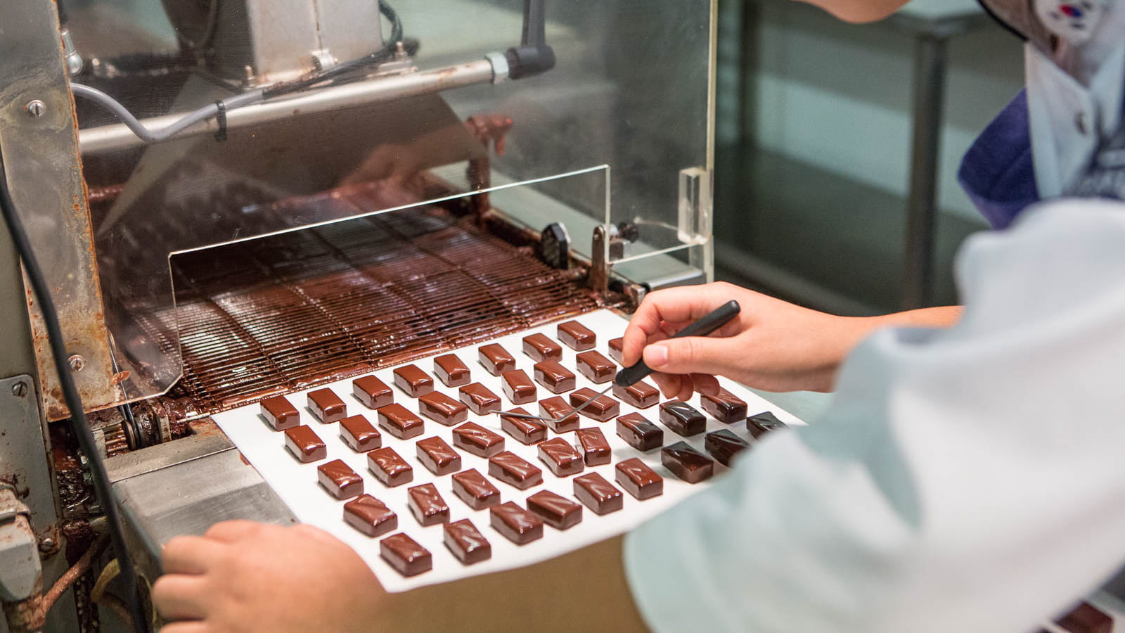 6 tonnes de chocolats par an
