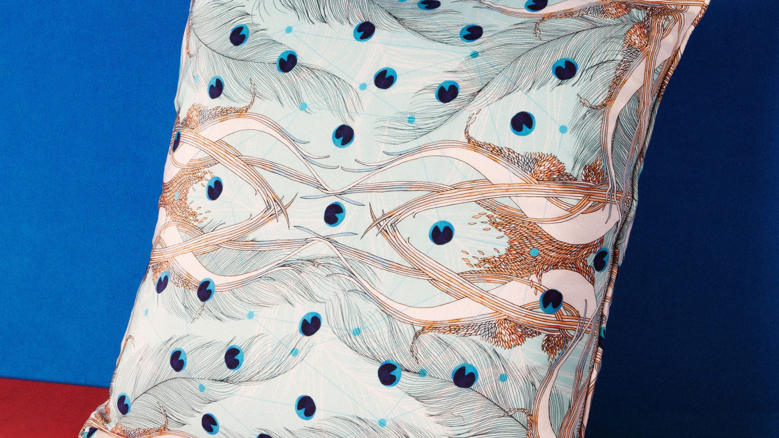 Coussin Phoenix