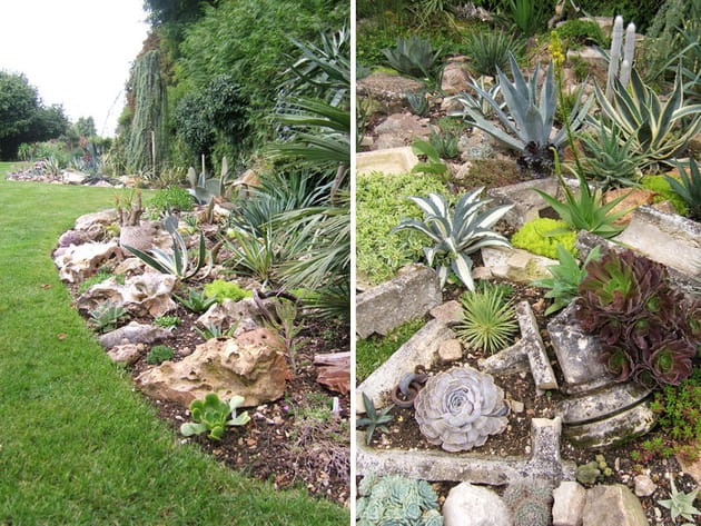 Rocailles exemplaires