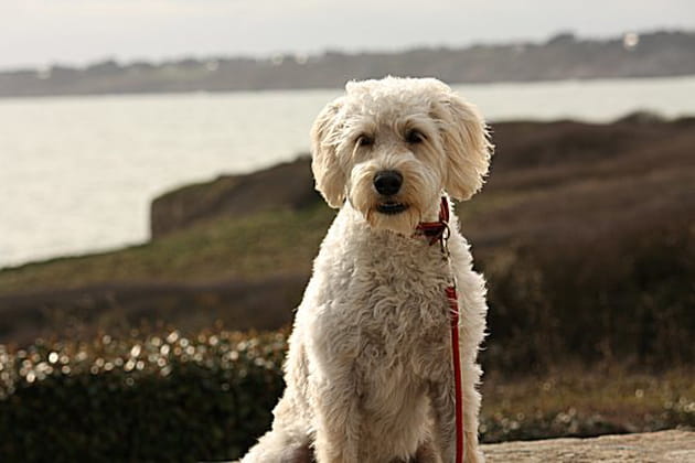 La bonne humeur d'Eska