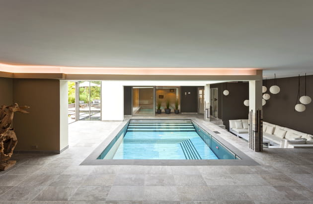 Piscine d'intérieur intégrée à l'environnement : trophée d'argent