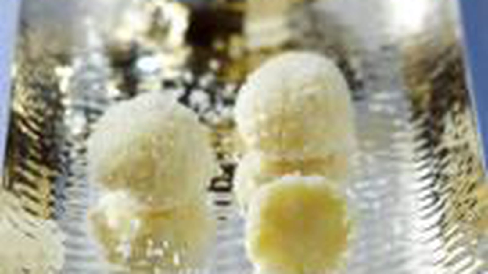 Truffes chocolat blanc coco