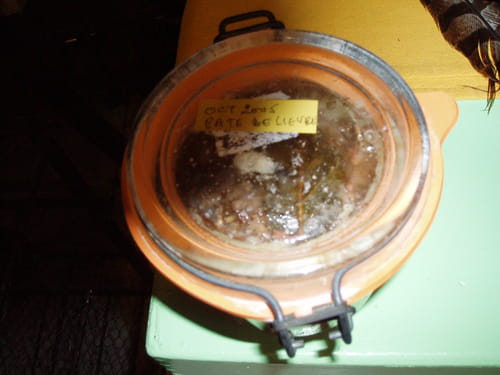 Pâté de lièvre