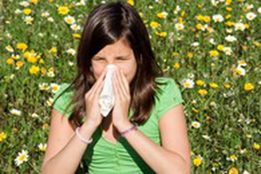 Les pollens de graminées débarquent !