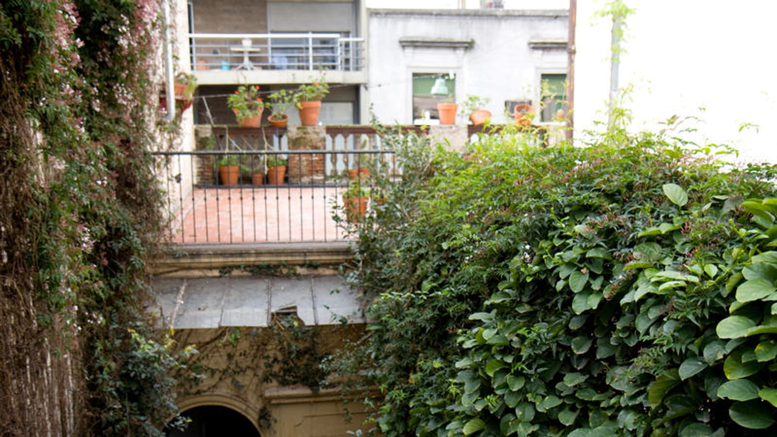 La terrasse