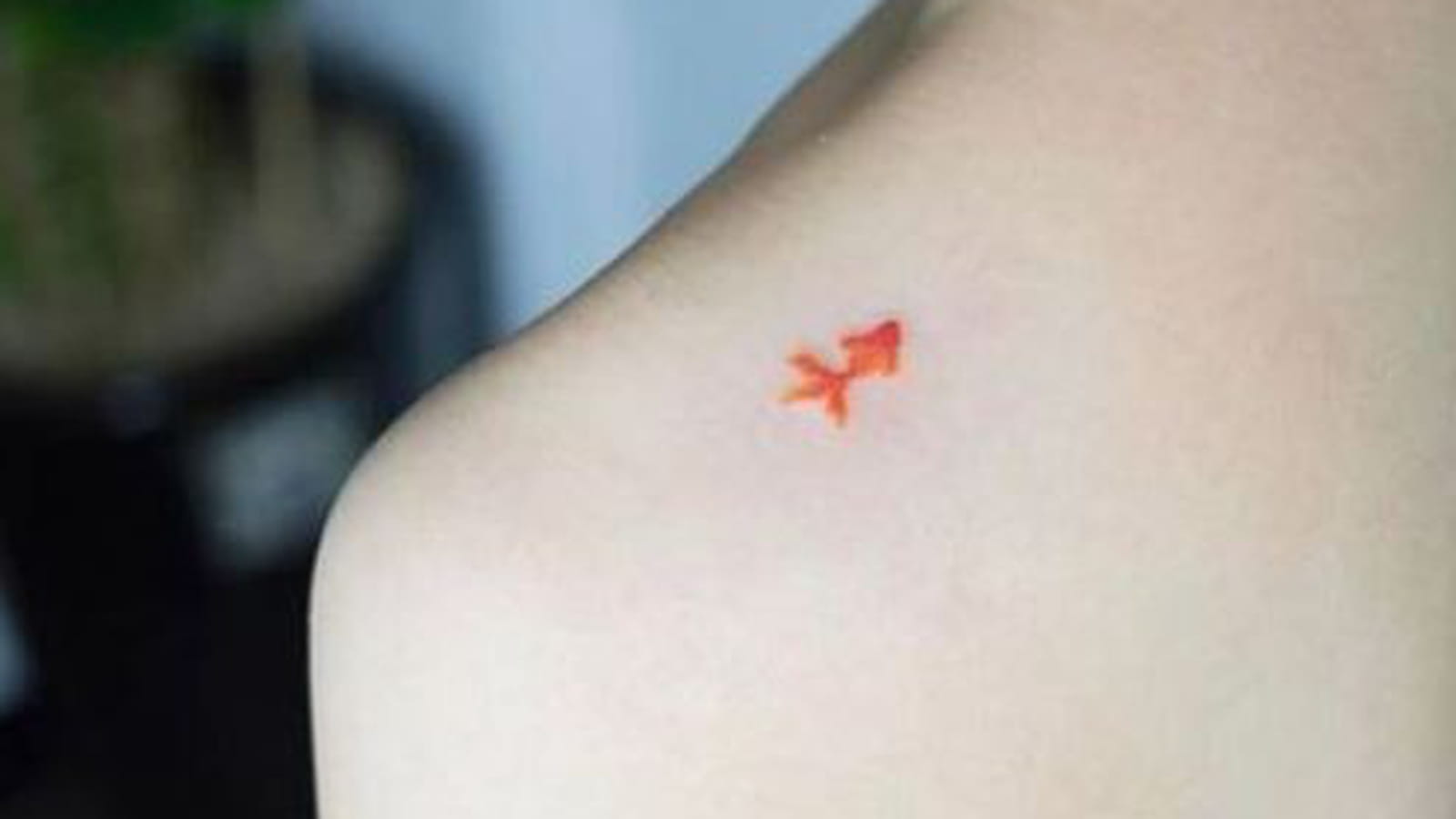 Poisson orange sur l'épaule