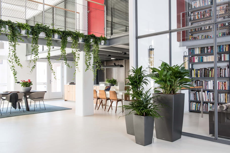 Transformez votre intérieur en city jungle