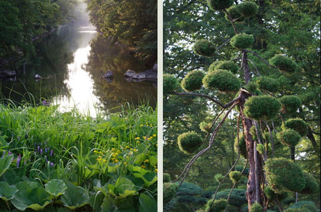 Le Loiret et le jardin japonais
