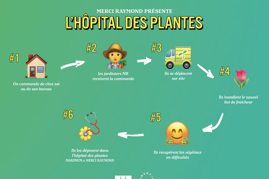 Merci Raymond offre une seconde vie à vos végétaux mal en point