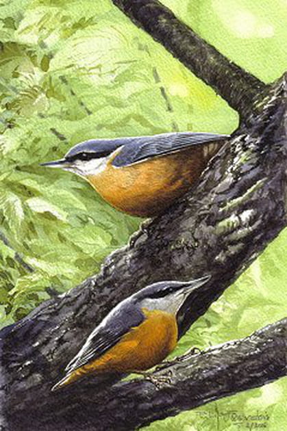 Ah&nbsp;! La saison des amours