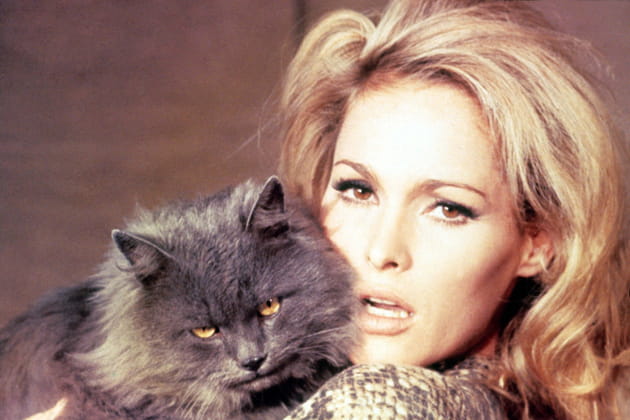 Quoi de neuf, Pussycat ?