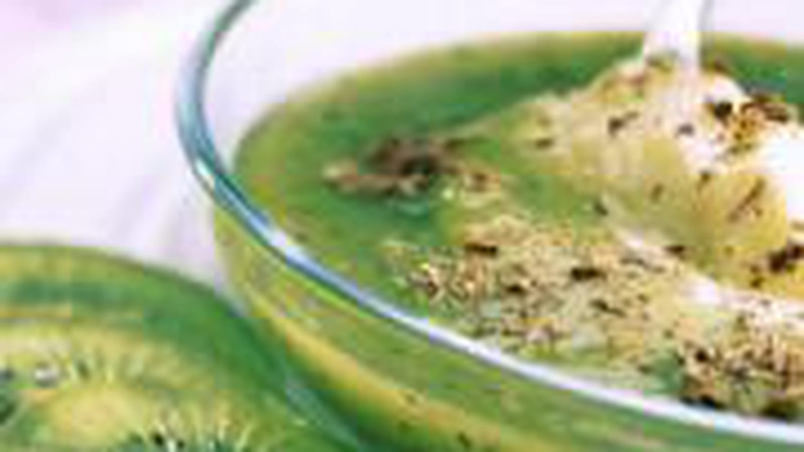 Soupe de kiwi et sorbet pomme