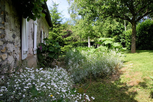 Des alysses corbeille argent