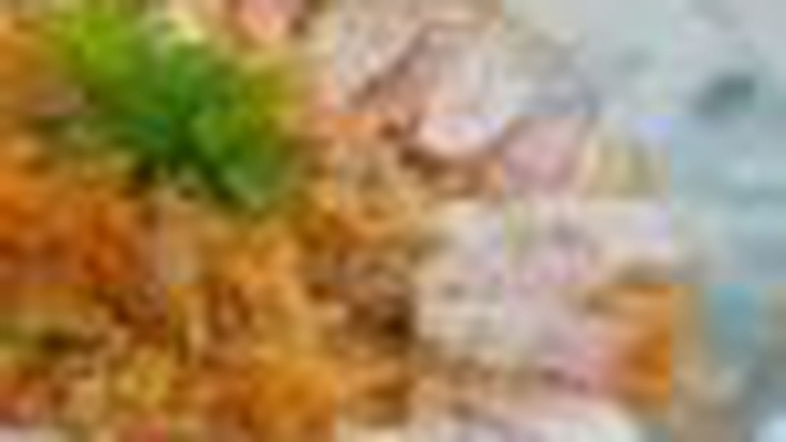 Salade de carottes