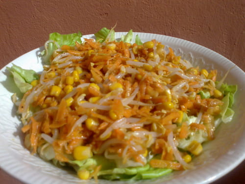 Salade carottes-germes de soja