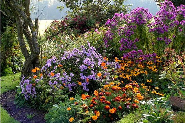 Des fleurs à foison