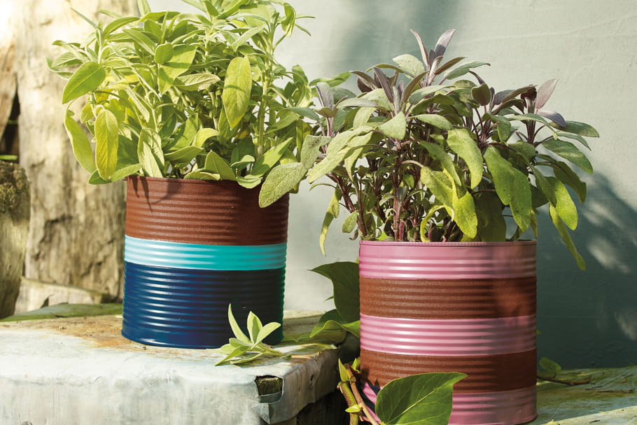 DIY : quand une boîte de conserve devient un joli cache-pot