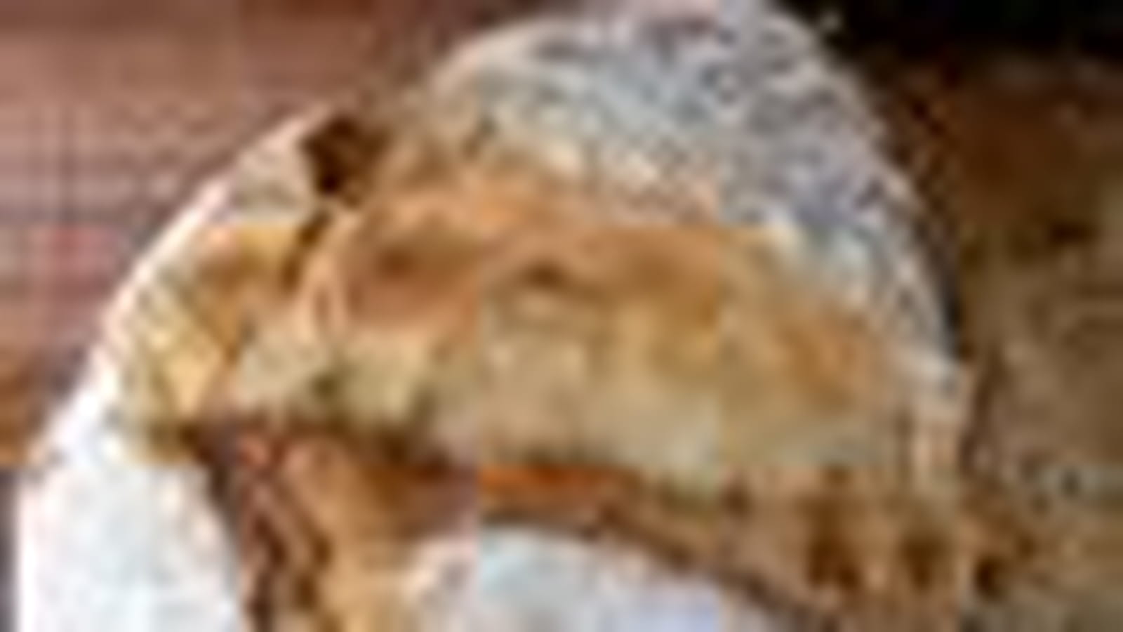 Campagne au levain