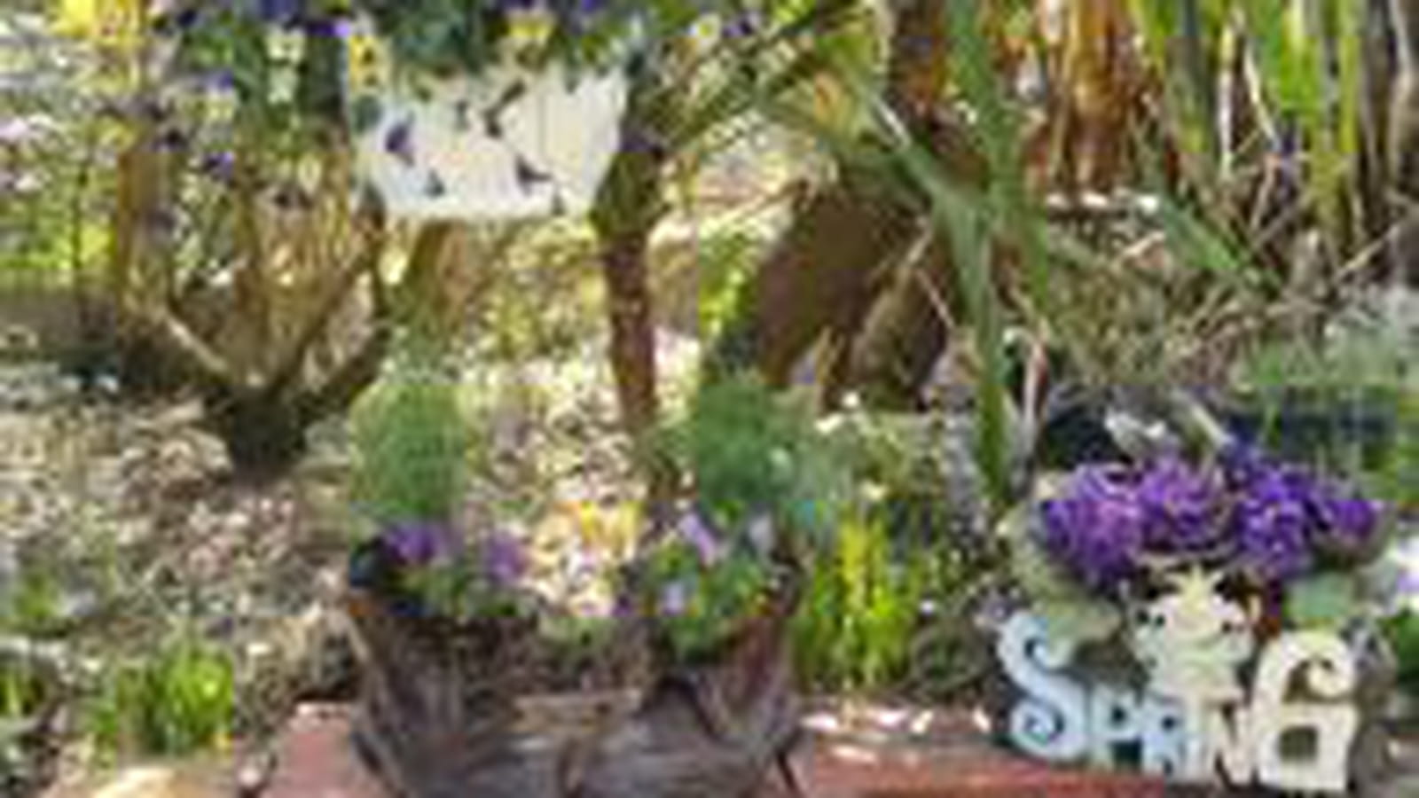 Dans le jardin