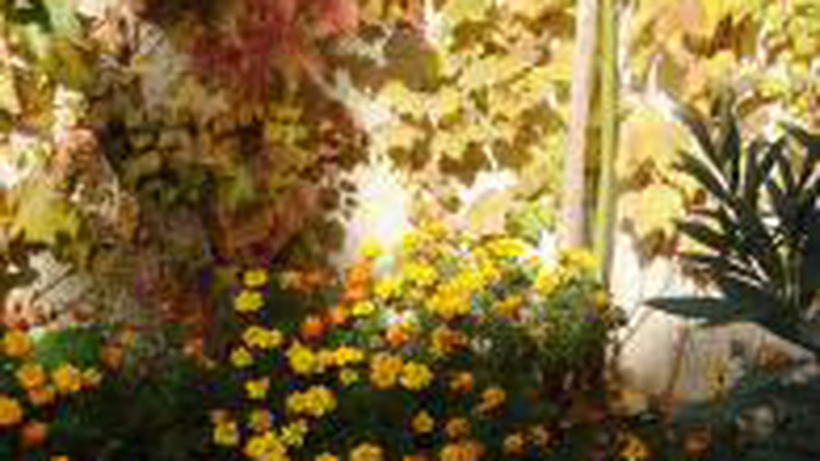 Fleurs et vigne vierge