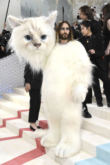 Jared Leto en costume de chat géant