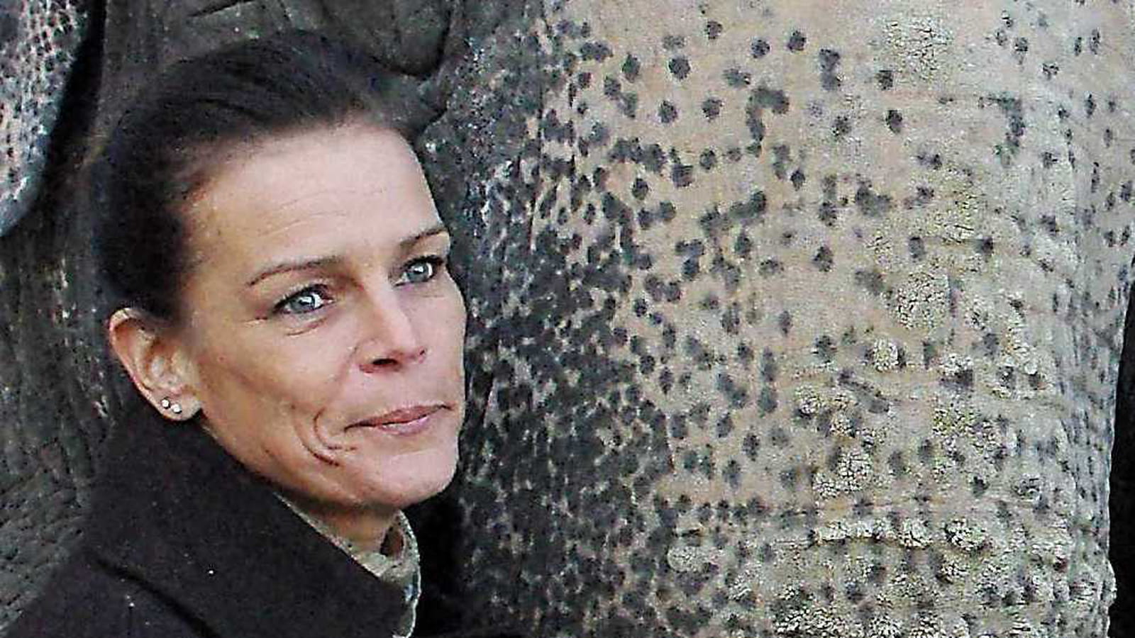 Avec des éléphants