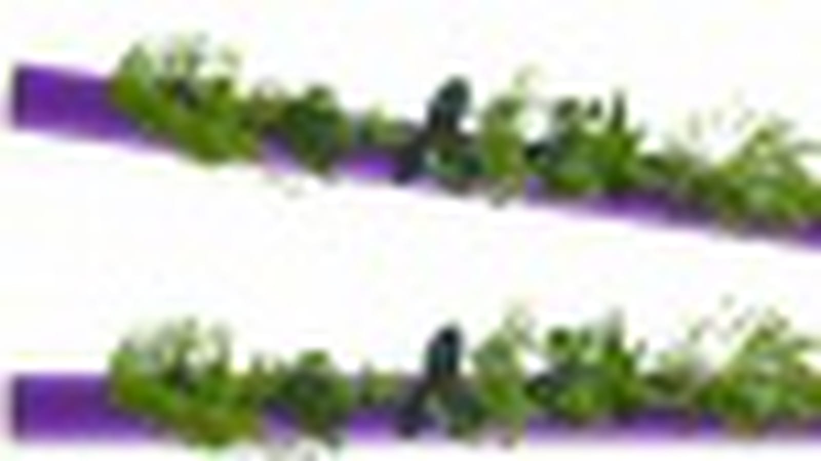 Flowertube