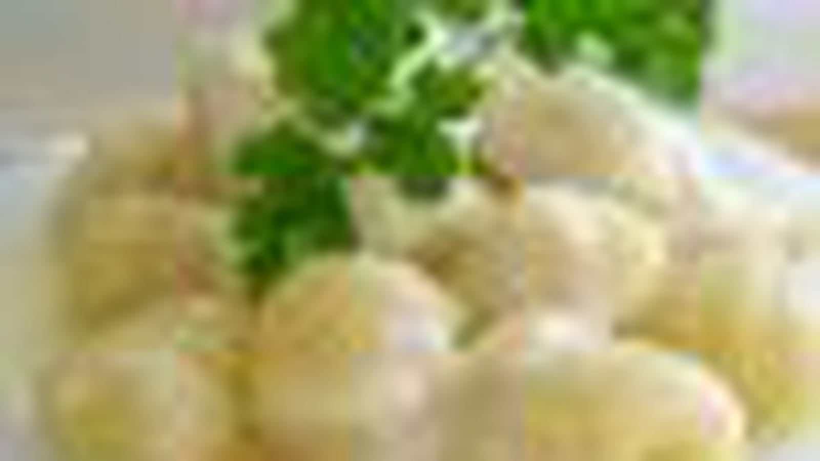 Parmesan