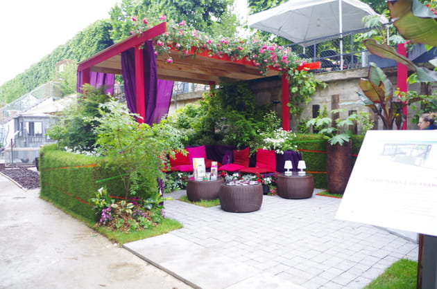 Un salon de jardin rose et violet