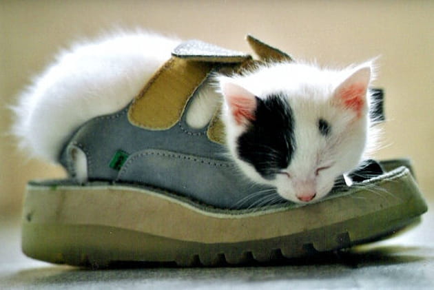 Pr&ecirc;t pour la balade&nbsp;?