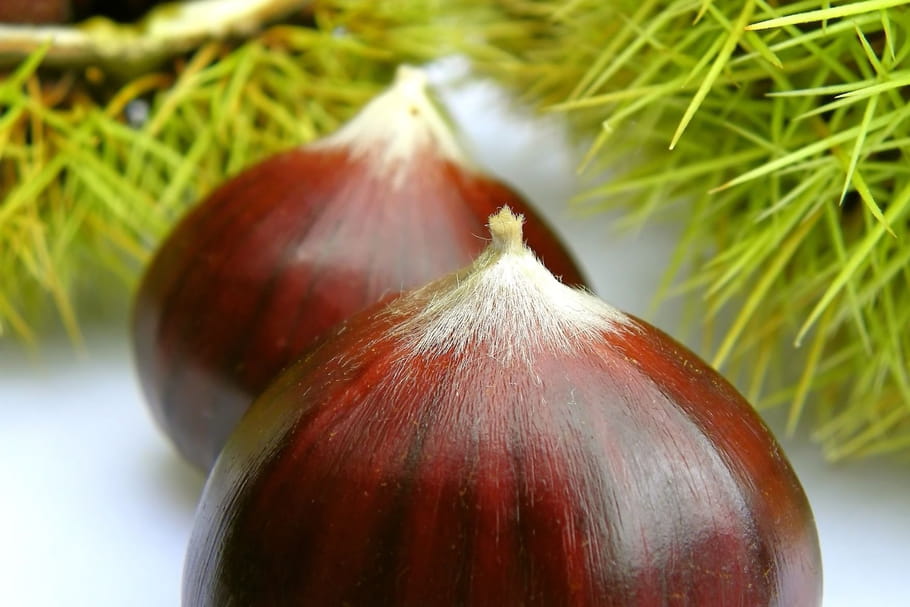 Produits de novembre