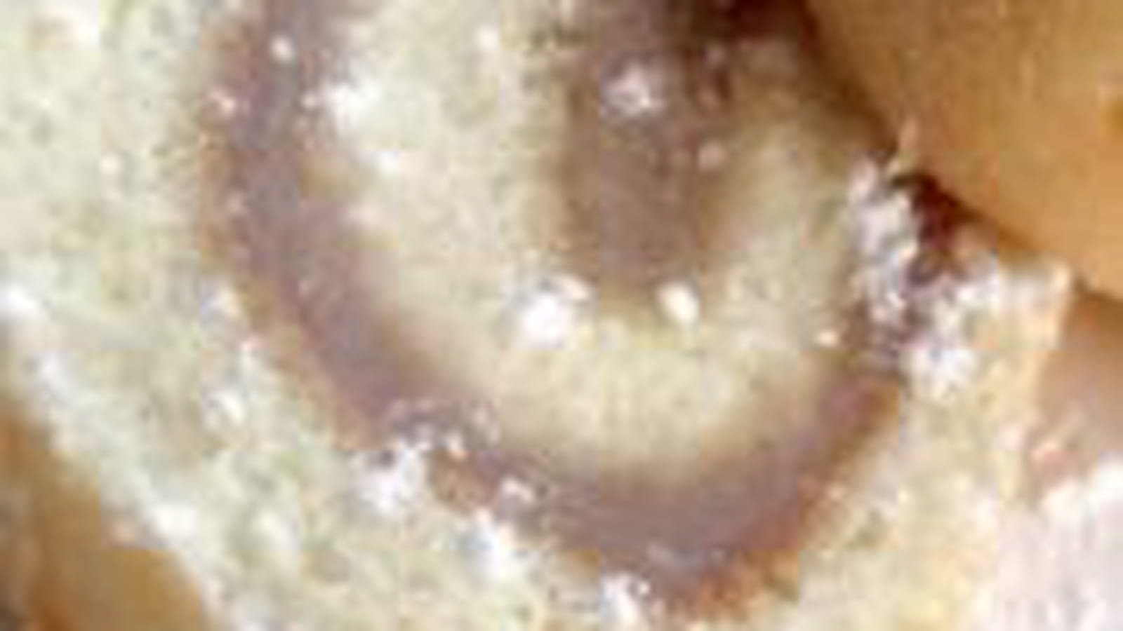 Gâteau Roulé à la Crème de Marrons