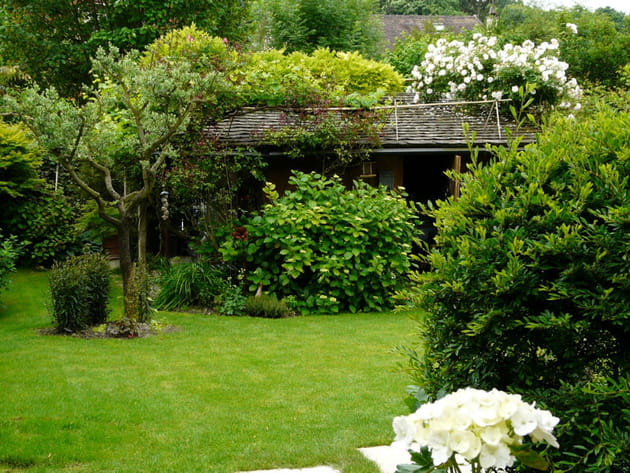 Un jardin de vivaces