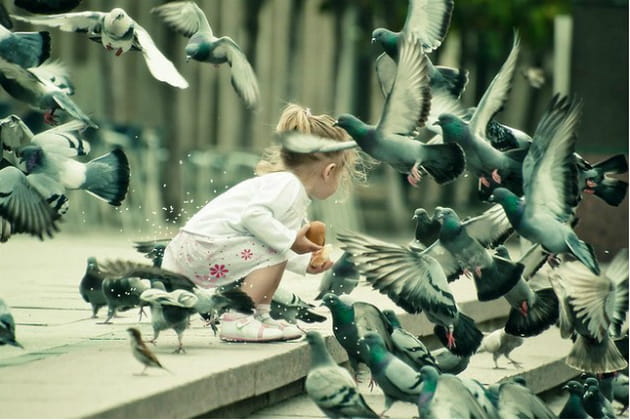 Marie et ses copains les pigeons