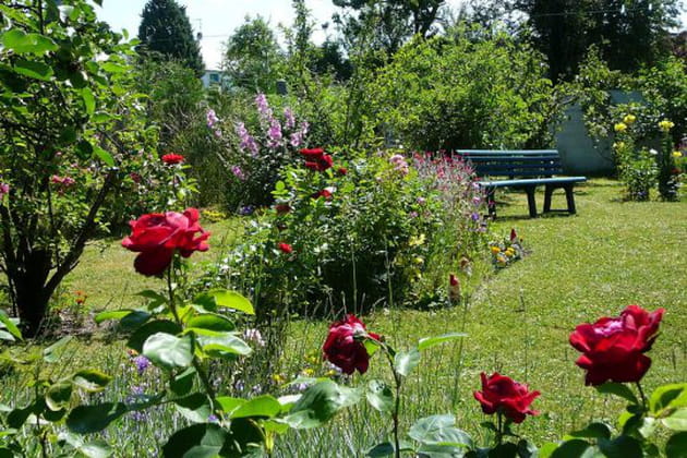 Le jardin très fleuri de Jacqueline