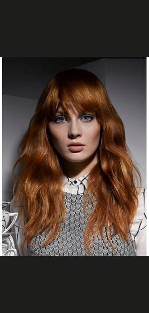 Le roux intense de L'Or&eacute;al Professionnel