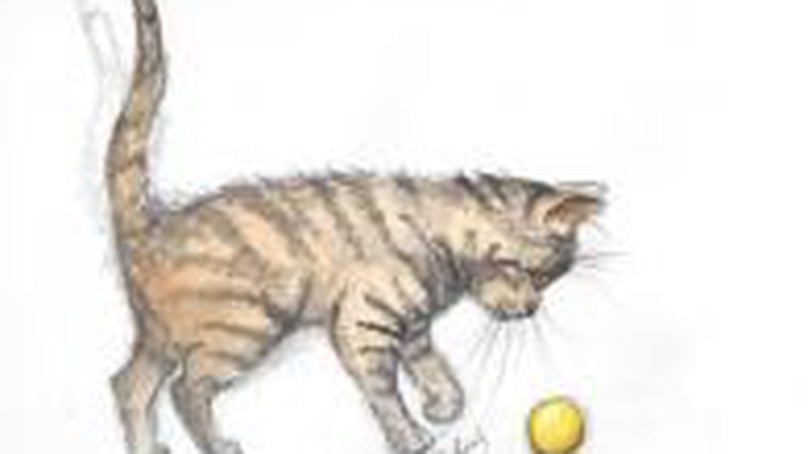 Chaton