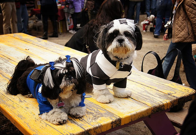 La flic et le prisonnier