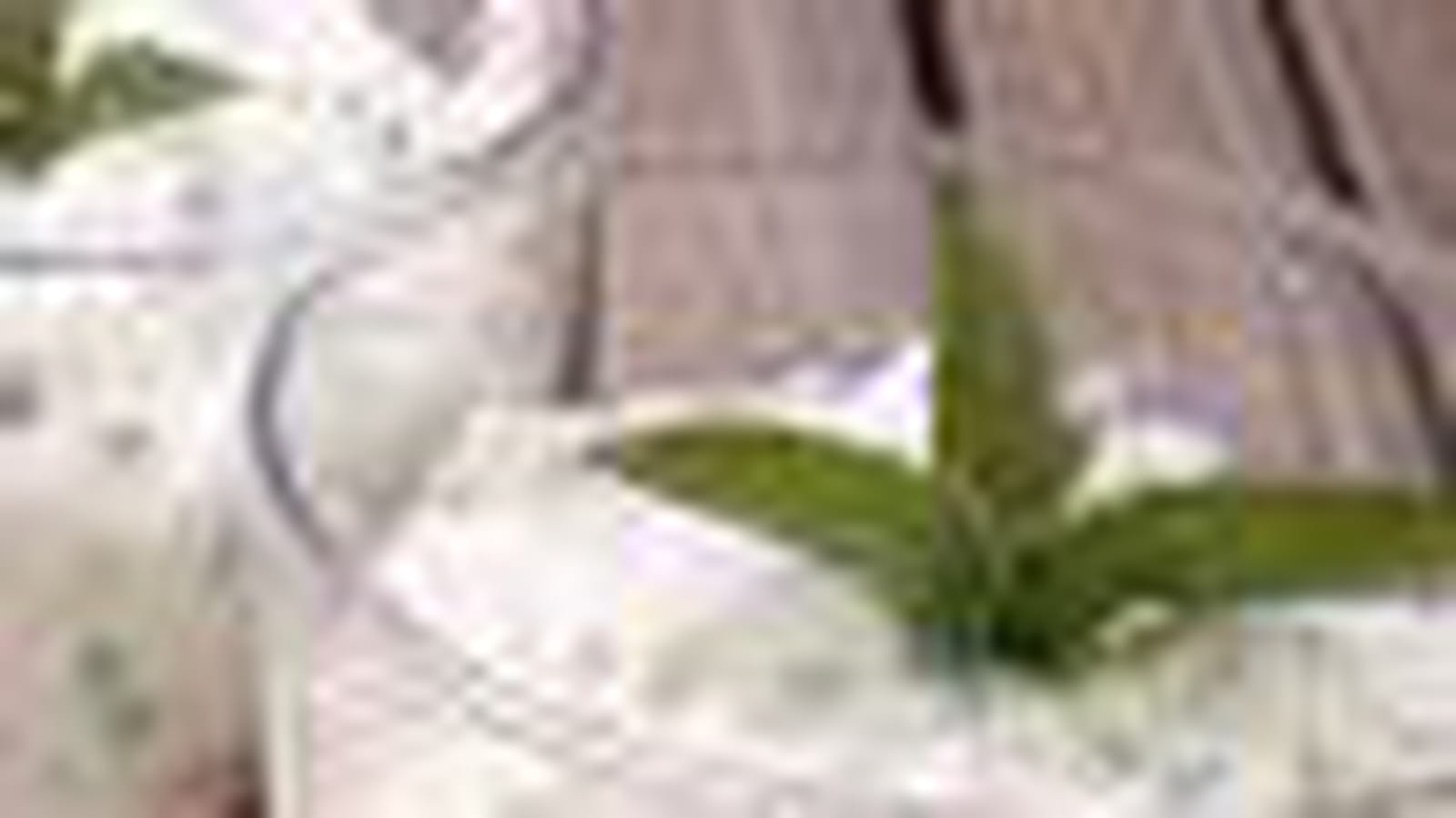 Verrine de chèvre frais