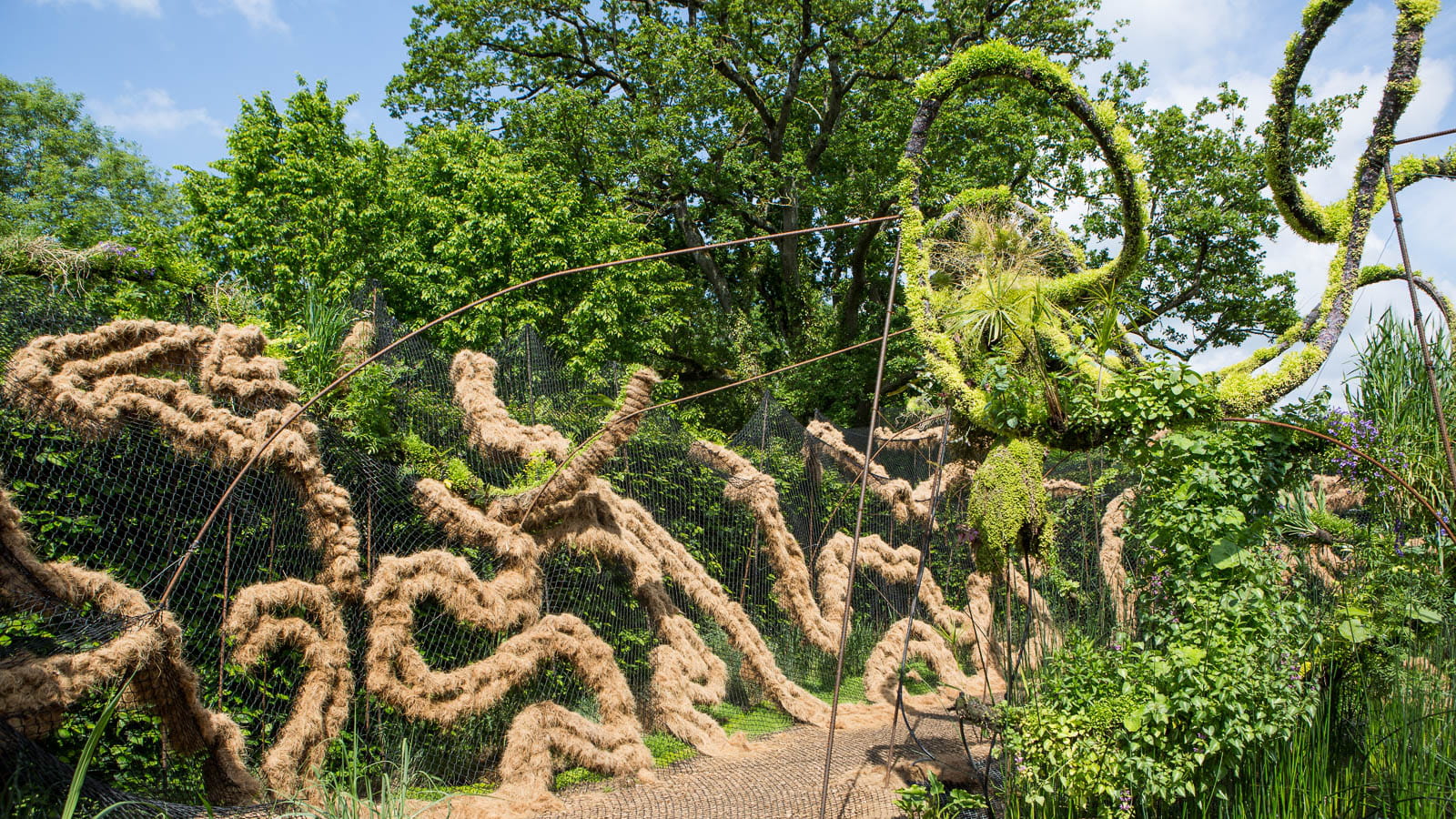 Jardin flottant du songe