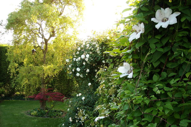 Dans un petit village des Flandres