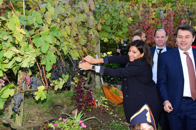 Anne Hidalgo aux vendanges de Montmartre