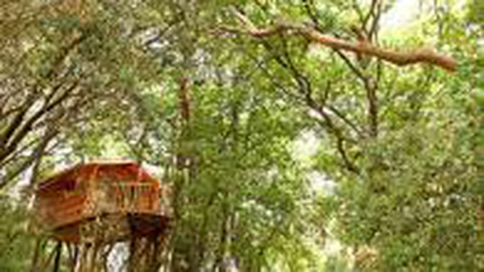 Cabane