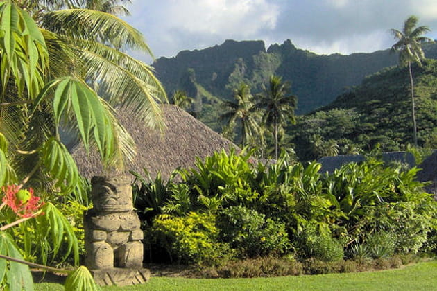 Le jardin gard&eacute; de Polyn&eacute;sie