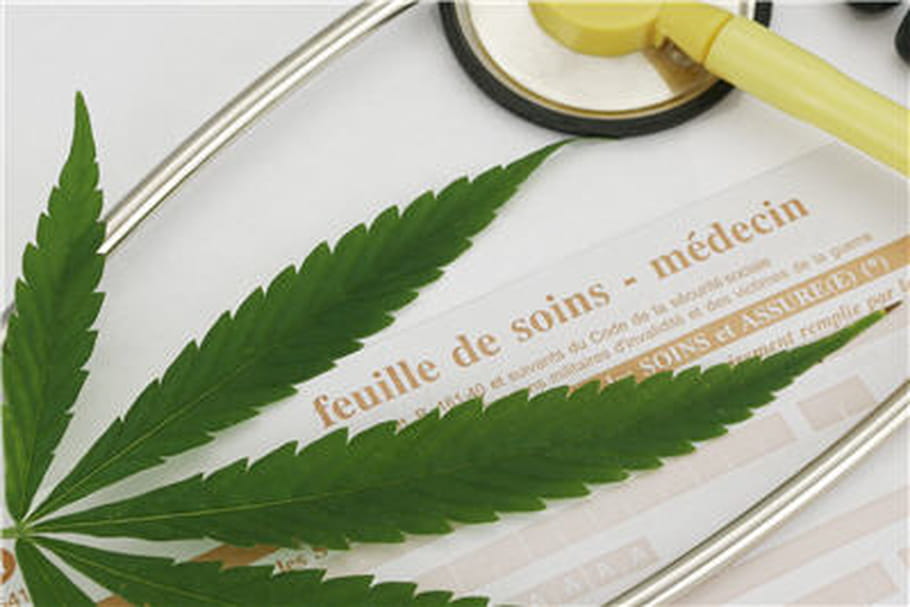 Vers une autorisation du cannabis thérapeutique