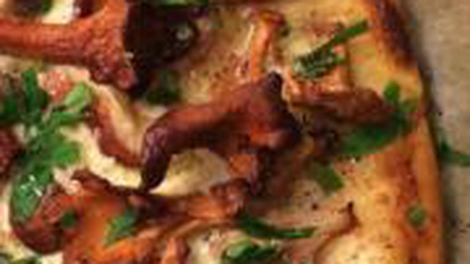 Pizza champignons sauvages